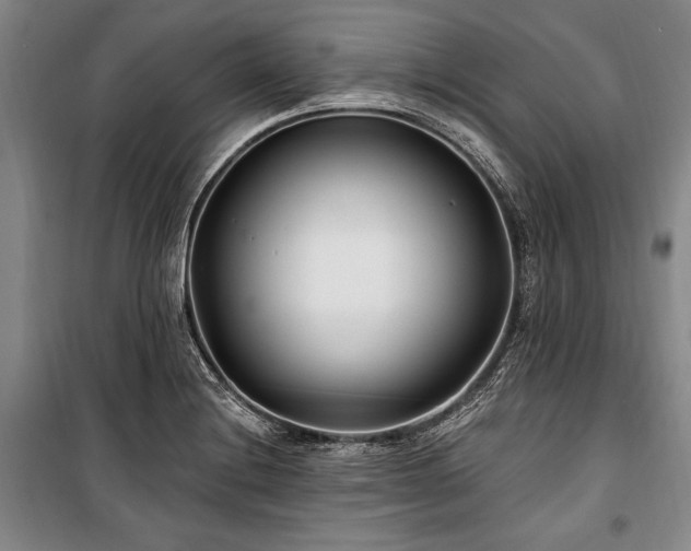 X0000101181228200806271244