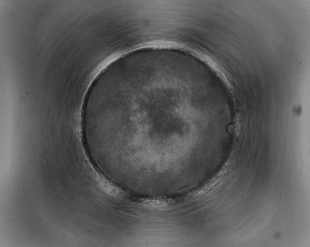 X0000101181229200806271244