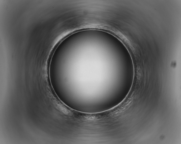 X0000101181230200806271244
