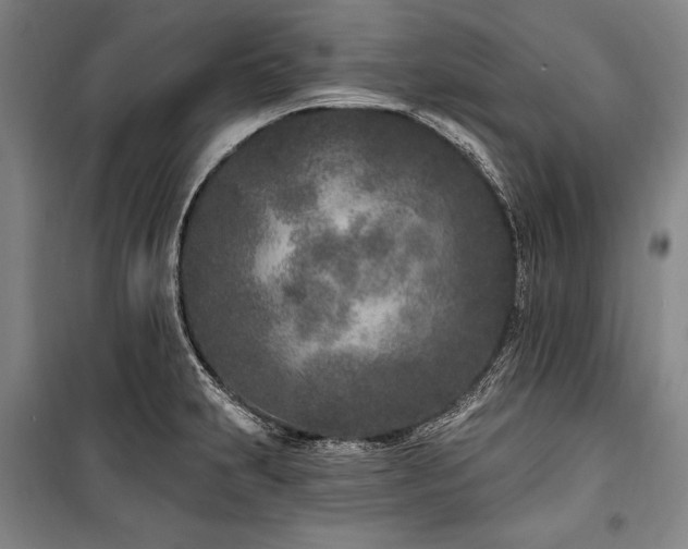 X0000101181231200806271244