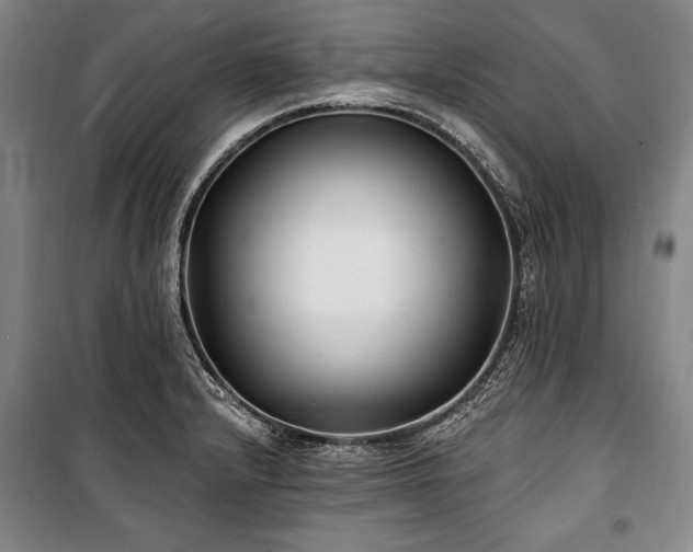 X0000101181232200806271244