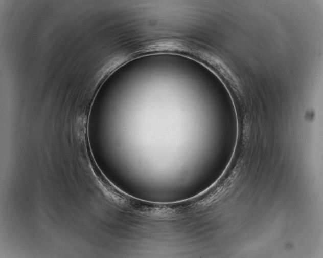 X0000101181233200806271244