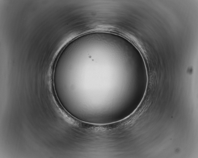 X0000101181235200806271244