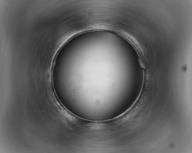 X0000101181236200806271244