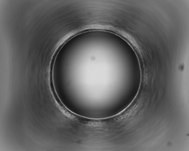 X0000101181237200806271244