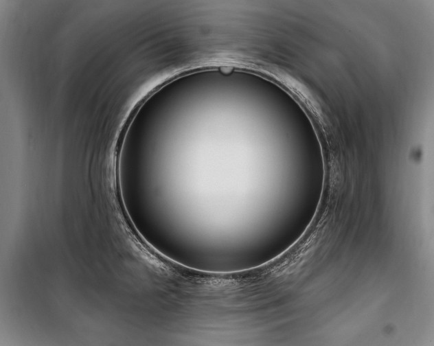 X0000101181238200806271244