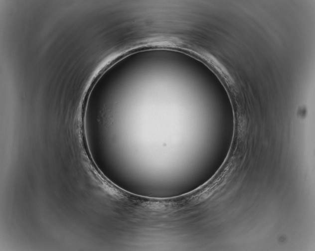 X0000101181240200806271244