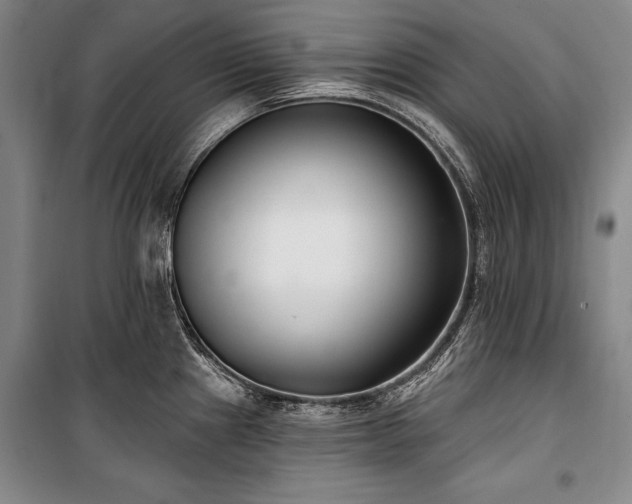 X0000101181241200806271244