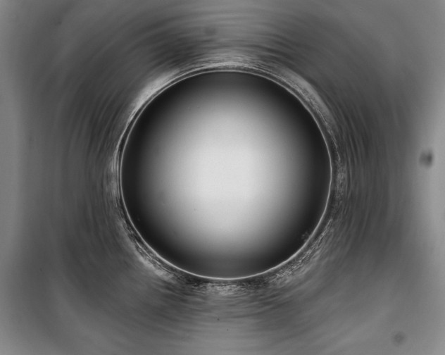 X0000101181242200806271244
