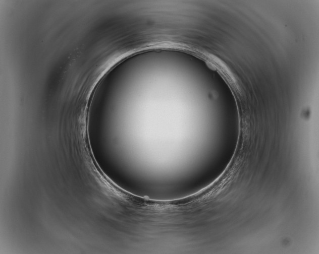 X0000101181244200806271244