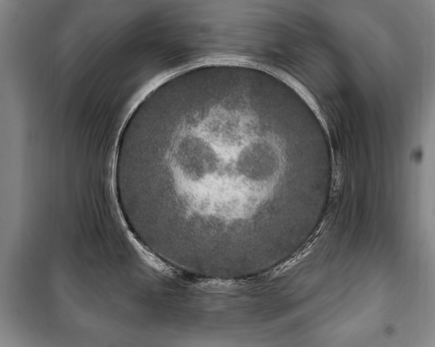 X0000101181245200806271244