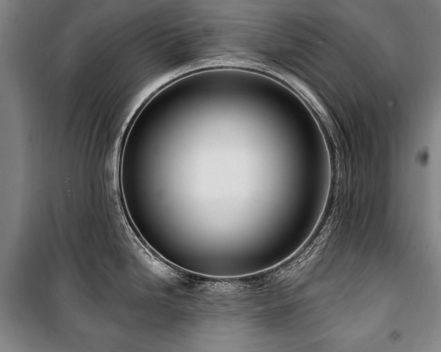 X0000101181246200806271244