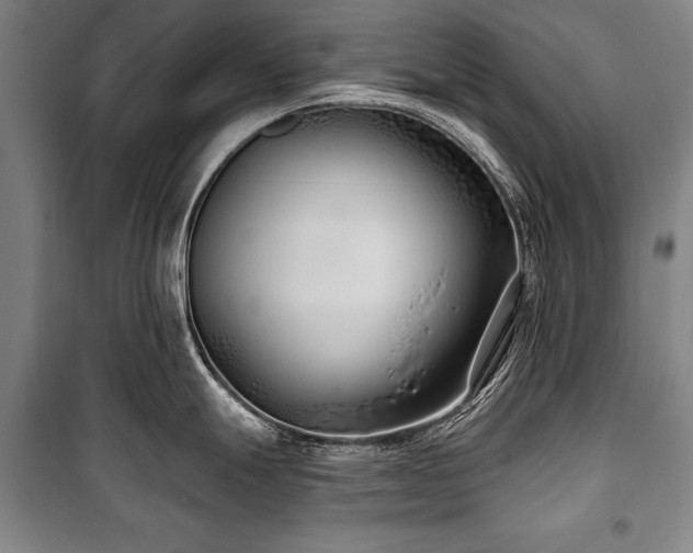 X0000101181247200806271244