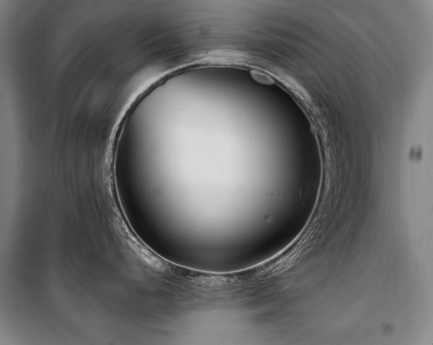 X0000101181248200806271244