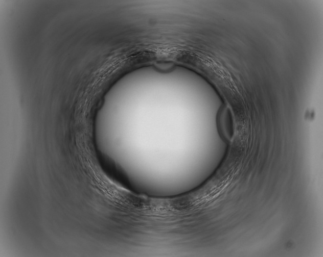 X0000101181249200806271244