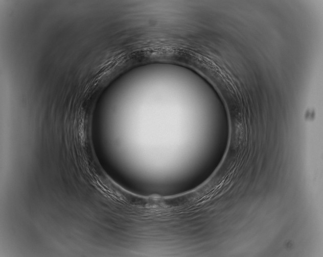 X0000101181250200806271244