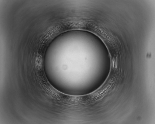 X0000101181251200806271244