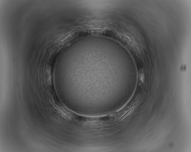 X0000101181252200806271244