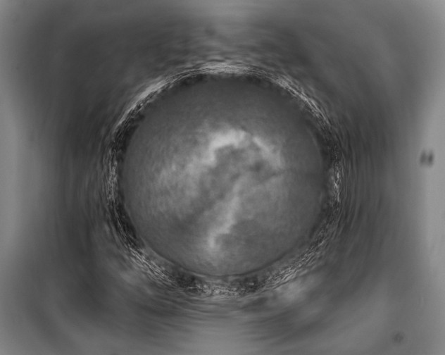 X0000101181254200806271244