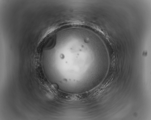 X0000101181255200806271244