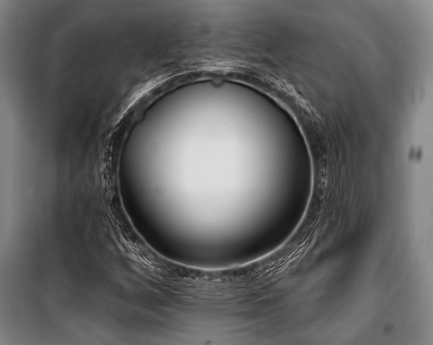 X0000101181256200806271244
