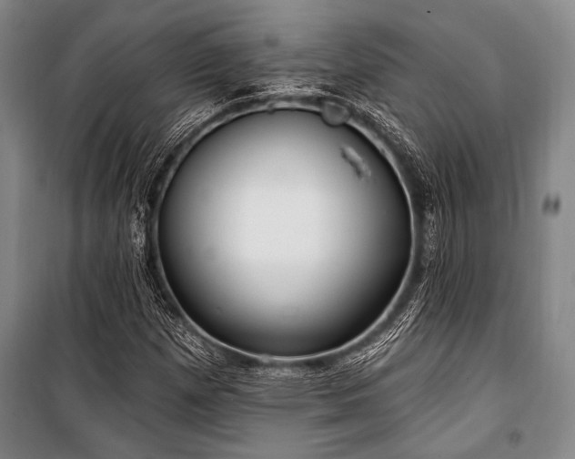 X0000101181257200806271244