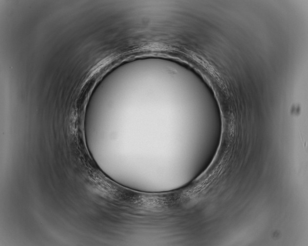 X0000101181258200806271243