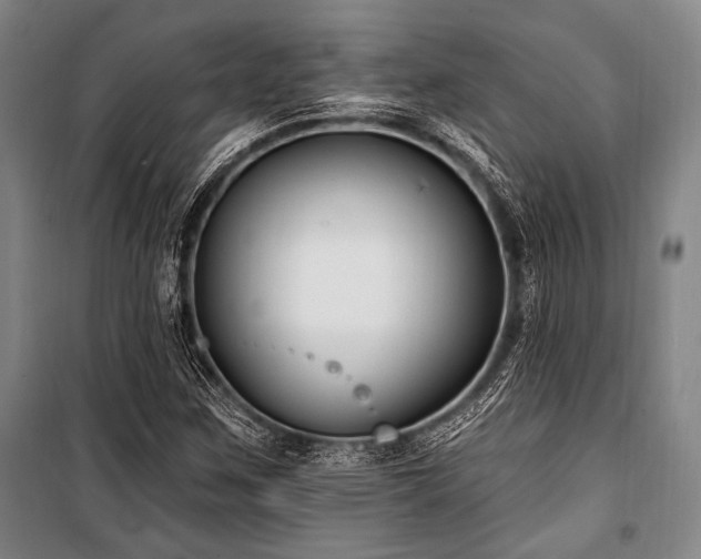 X0000101181259200806271243