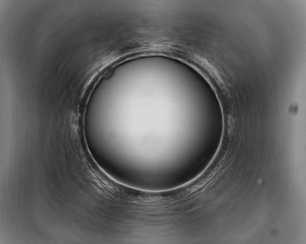 X0000101181260200806271243