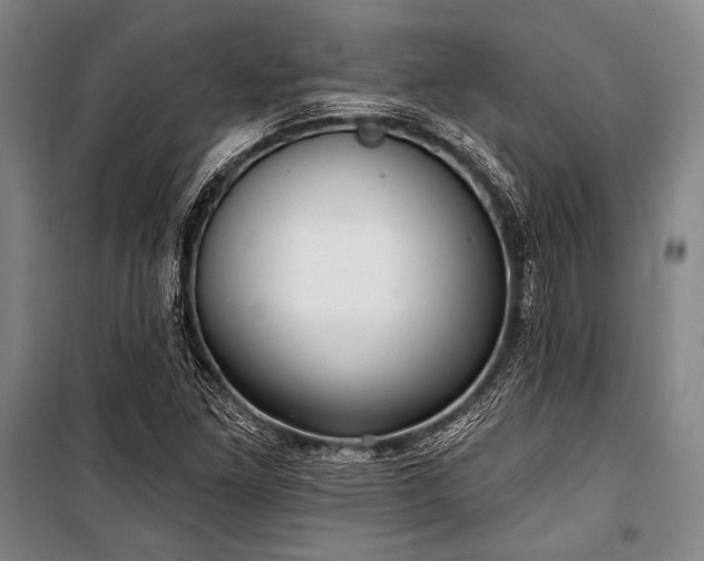 X0000101181261200806271243