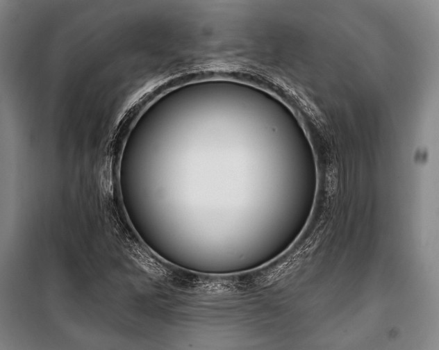 X0000101181262200806271243