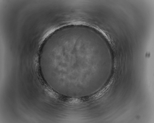 X0000101181263200806271243