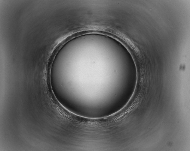 X0000101181264200806271243