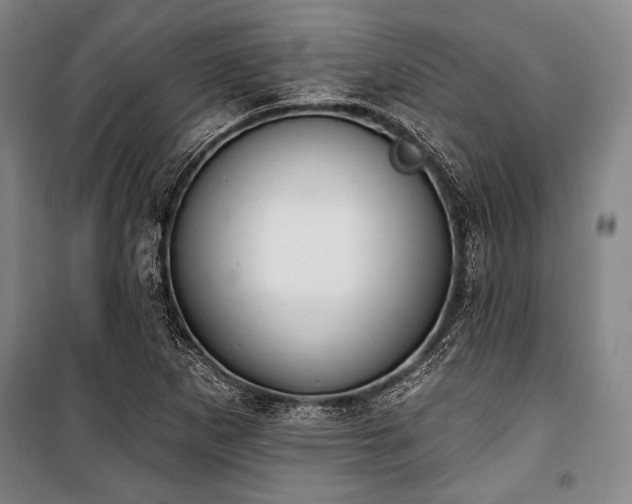 X0000101181265200806271243