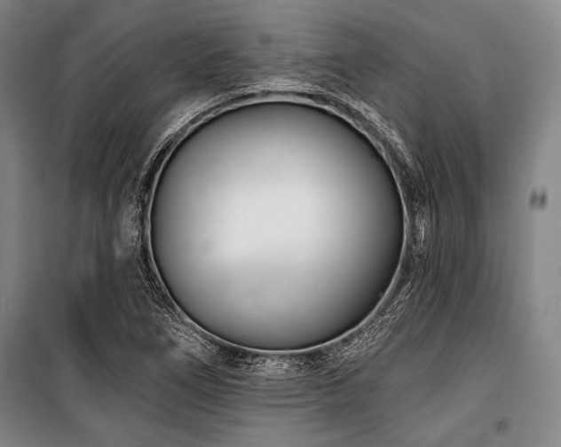 X0000101181266200806271243