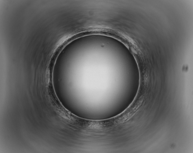 X0000101181267200806271243
