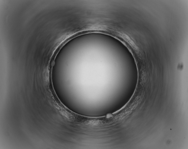X0000101181268200806271243