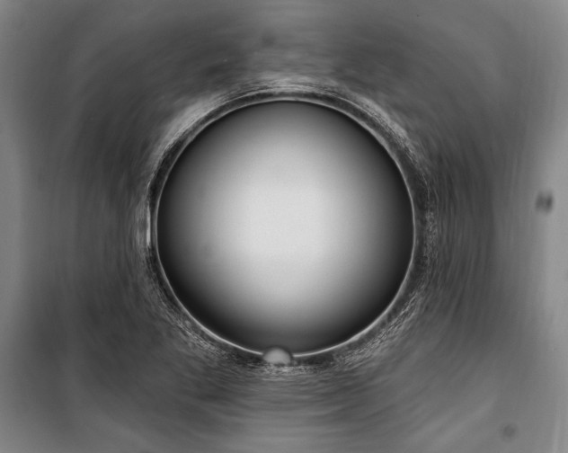 X0000101181269200806271243