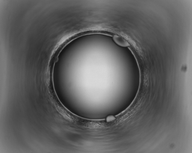 X0000101181270200806271243