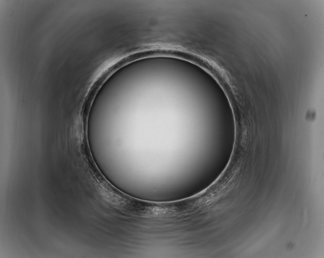 X0000101181271200806271243