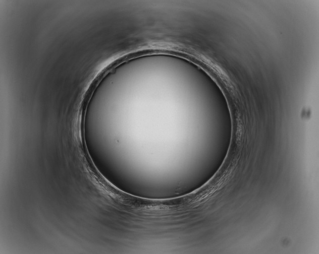 X0000101181272200806271243