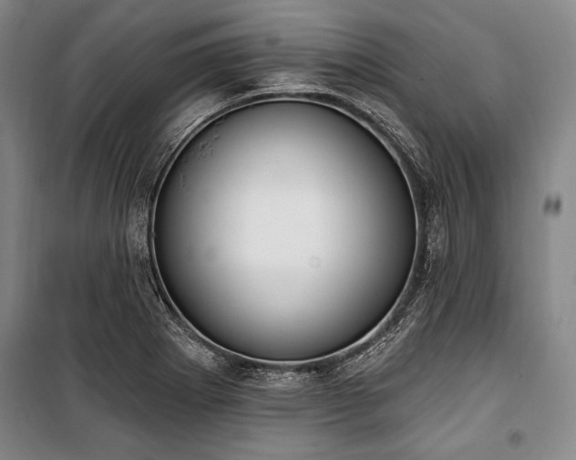 X0000101181273200806271243