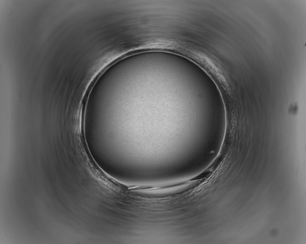 X0000101181276200806271243