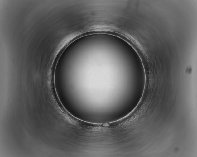X0000101181277200806271243