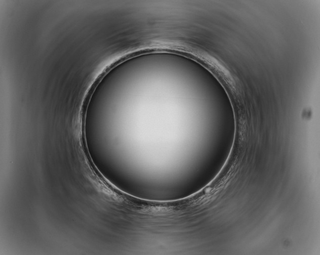 X0000101181280200806271243