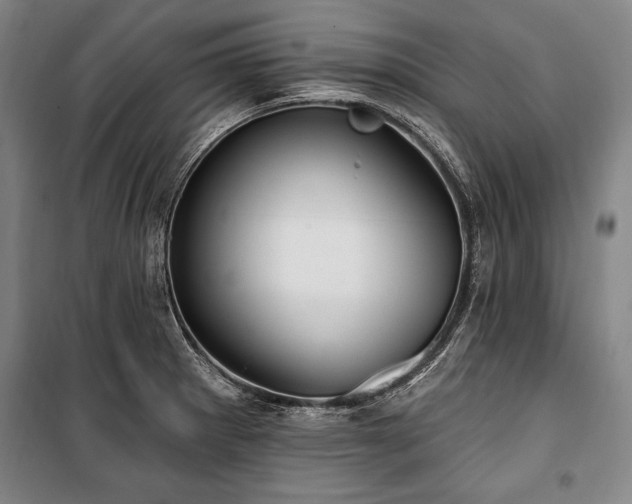 X0000101181281200806271243