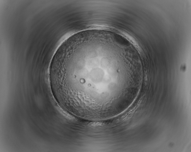 X0000101181283200806271243