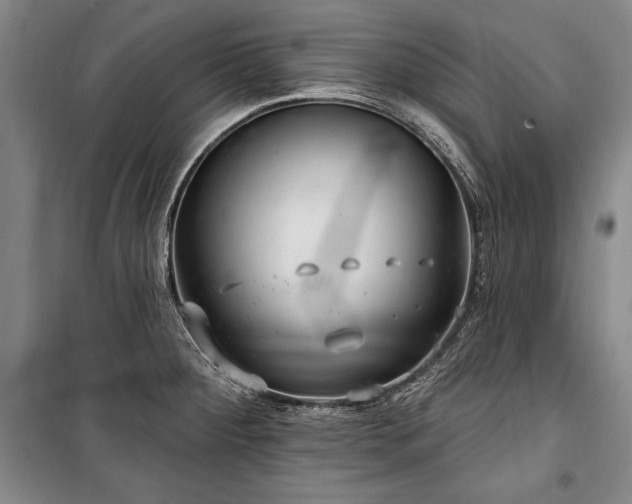 X0000101181284200806271243