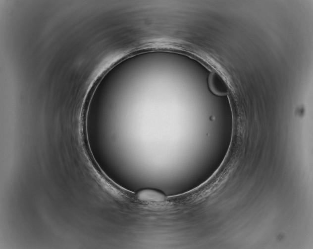X0000101181285200806271243