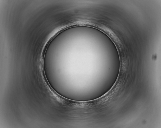 X0000101181286200806271243